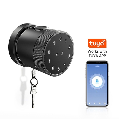 Bezprzewodowy stop cynkowy, cyfrowy elektroniczny system rozpoznawania odcisków palców, smart door Lock z aplikacją Tuya lub TTLock App GL-H4